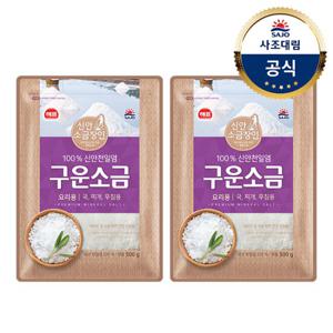 [사조대림] 해표 구운소금500g x20개
