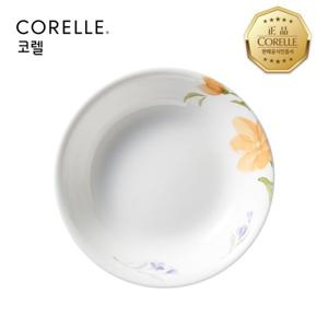 코렐 베고니아 찬기중
