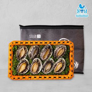 [물맛남] 완도직송 활전복 선물세트 대1kg 13-14미(부직포포장)