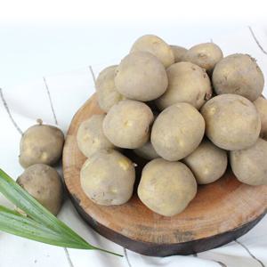 [팔도농장] 26년 햇 수확 수미감자(중) 10kg