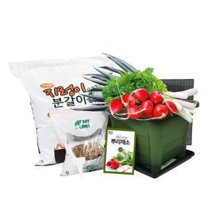초보 농부 뿌리 채소 키우기 정사각 화분 미니 텃밭세트