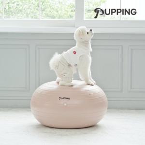 [퍼핑] 강아지짐볼 슬개골탈구예방 운동기구