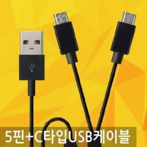 릿츠 듀얼 USB충전케이블5핀+C타입 DL909D 옵션 1