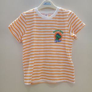 [리틀밥독] H242MTS08M볼링공룡T/S