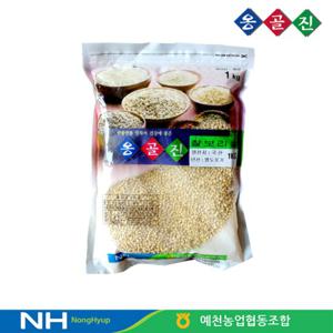 예천농협 옹골진 국내산 잡곡 찰보리쌀 1kg