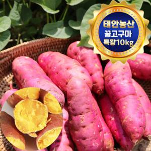 태안농산 해풍맞고 자란 꿀고구마 특왕(300g이상) 10Kg