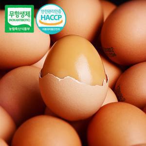 [무항생제/HACCP] 좋은닭이 낳아 신선한 구운계란 30구(1판)