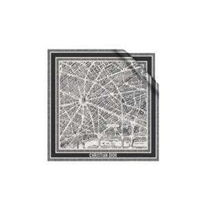 디올 플랜 드 파리 90 스퀘어 스카프 실크 트윌 화이트 블랙 32PAR090I600-C080
