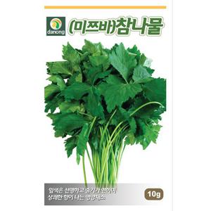 관동(미쯔바)참나물씨앗 10g[JO]