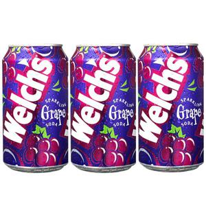 농심 웰치스 포도 355ml 24캔