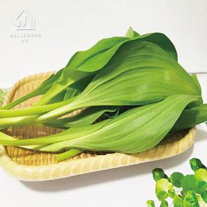 [웰굿] 국내산 생 명이나물 산마늘 잎명이 1kg