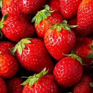 논산 산지직송 금실딸기 특품 750g (20-30과)