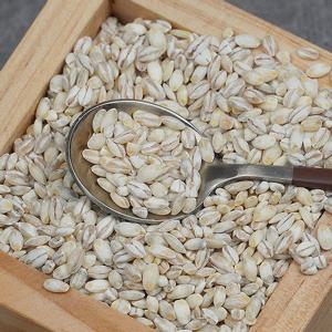 채운_늘보리 1kg