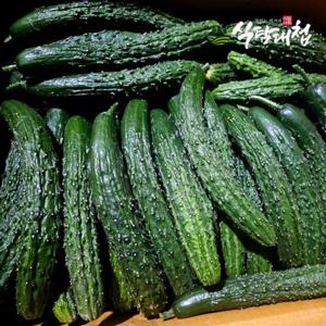 갤러리아_식탐대첩 국내산 못난이 가시오이 1kg