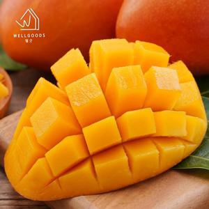 [웰굿] 항공직송 마하차녹 태국 무지개망고 4kg(12-14과)