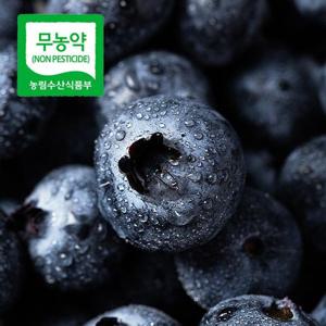 [무농약] 산지직송 국내산 생 블루베리 250g(특대과,18mm)