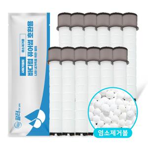 1년set 바디럽 퓨어썸 샤워기 염소 녹물제거 호환필터 (10+2ea)