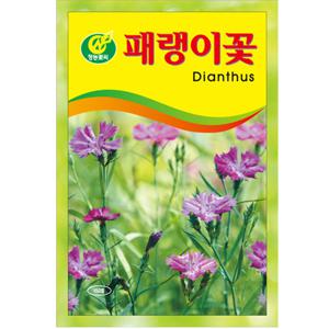 패랭이씨앗 꽃씨앗