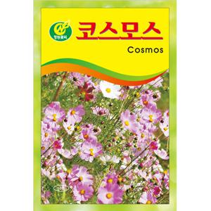 코스모스씨앗 500g 꽃씨앗