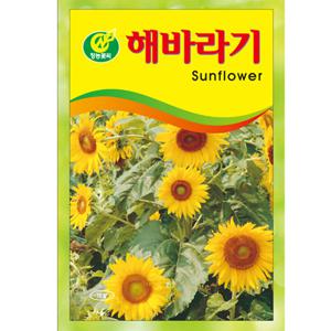 해바라기씨앗 500g 키큰 꽃씨앗