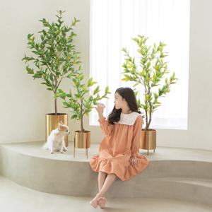 리얼퀄리티 핸드메이드 오렌지쟈스민 조화나무 5sizes