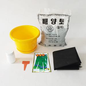 부추키우기 7종 채소키우기 식물키트