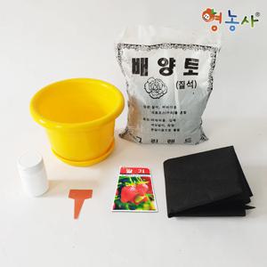 딸기키우기 7종 식물키우기