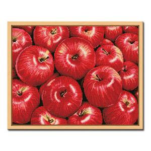 DIY 보석십자수 액자형 정물 (43x54cm) D526_홍사과