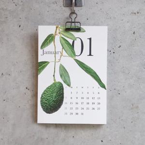 2022 CALENDAR Botanical