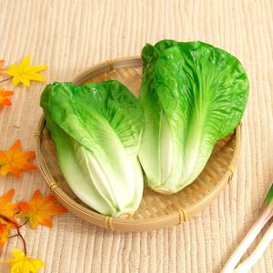 배추 모형 1P (소)