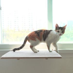 고양이 해먹 캣타워 창문 창틀 선반 캣스텝 캣워커 냥만뷰