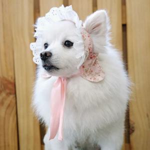 미니장미 요나보닛 강아지 고양이 모자 아소비진