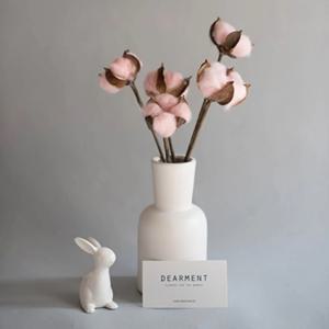 목화솜5송이 프리저브드 드라이플라워 화병세트 소품