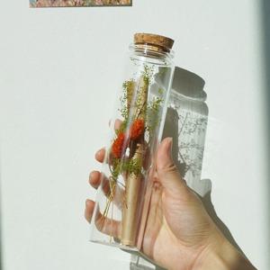 감동 유리병 오렌지트리 꽃 편지