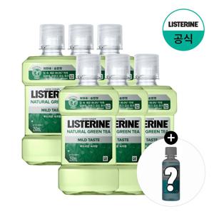 그린티 마일드 250mlx6+(증정)100ml 랜덤(마일드)