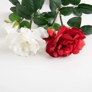 태양광 LED 컴스 장미 정원등 야외 방수 조명