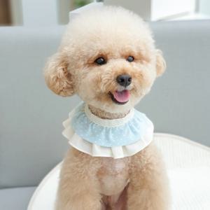 오가닉 베이비도트 3단 고양이 강아지케이프 4colors