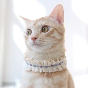오가닉 부드러운 고양이 꽃 초커 목걸이