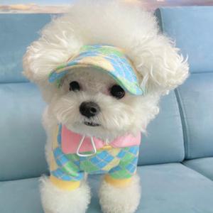 [해외] 강아지 고양이 패션 의류 가을 겨울 골프 모자