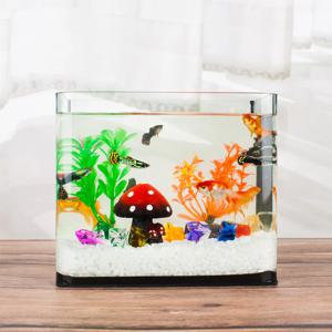 미니어항세트(소) 버섯장식 유리어항 금붕어 수족관
