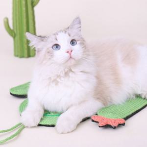 고양이 선인장 스크래쳐 매트