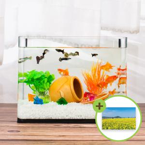 미니어항세트(중) 항아리장식 유리어항 수족관세트