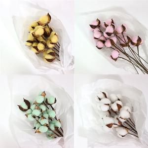 목화 프리저브드 목화솜 조화 가지 10송이 화병 데코 7 colors