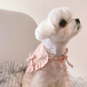 강아지 쿨아이스팩 스카프