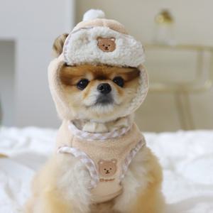 레인보우 군밤 강아지 고양이 모자 펫츠앤미