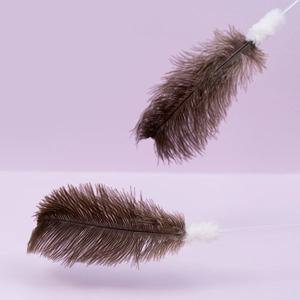 고양이 장난감 막대 낚시대형 미니타조깃털스틱