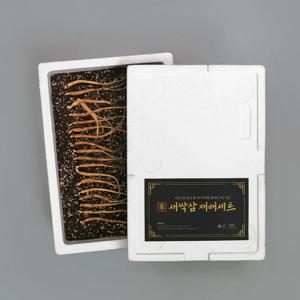 새싹 인삼 재배세트 직접 키우는 식물키트