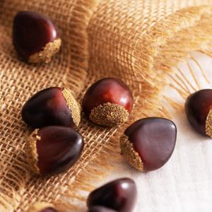 미니 밤 모형 10P