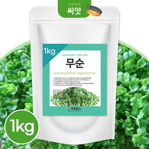 새싹 무순 씨앗 1kg 새싹채소 키우기 수경재배 씨앗