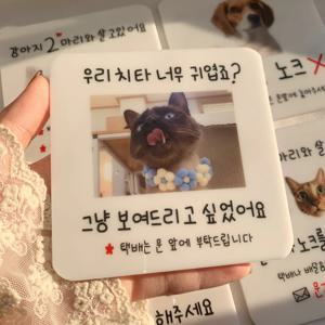 고양이 강아지 포토사인 현관문패